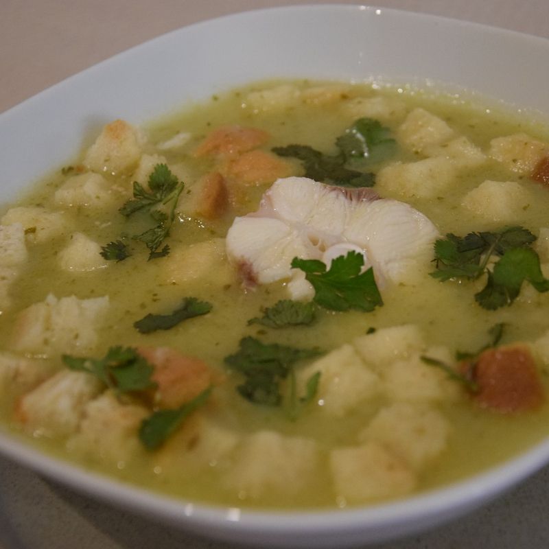 Sopa de cação com pão e coentros